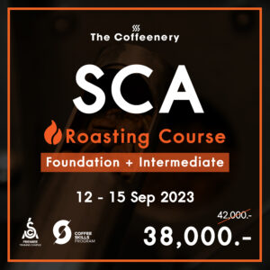 SCA Roasting Course (Foundation & Intermediate คอร์ส SCA Roasting คอร์สคั่วกาแฟ