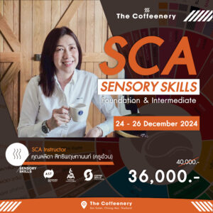 SCA Sensory Skill เรียนดมกลิ่นกาแฟ